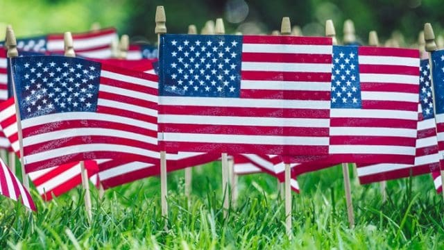 American flags on green grass close up