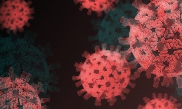 Coronavirus under the microscope
