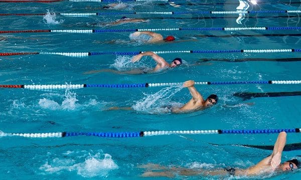 High angle side view of multi-ethnic group of male swimmers at swimming pool, racing each other in lanes, swimming crawl