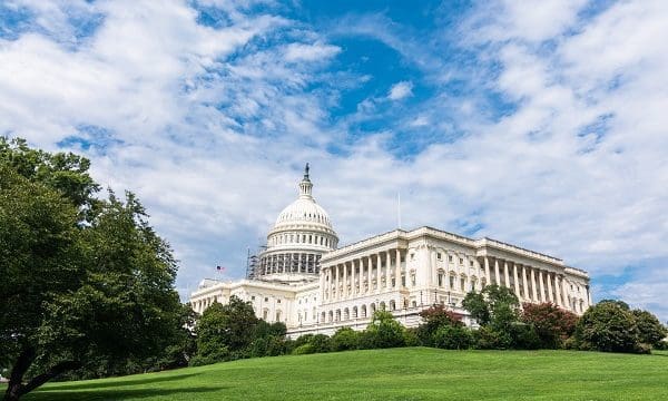 View of the United States Capital Building. Washington DC
