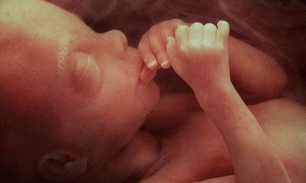 United Kingdom. 01.10.05. Human fetus in the womb prior to birth, approx 12 - 16 weeks after conception. (Taken via a medical scope so limited resolution).