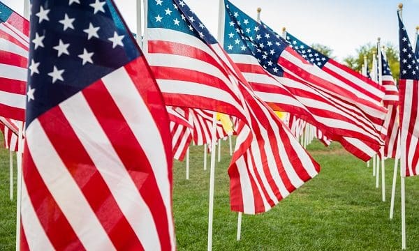 Field of Veterans Day American Flags Waving in the Breeze.
