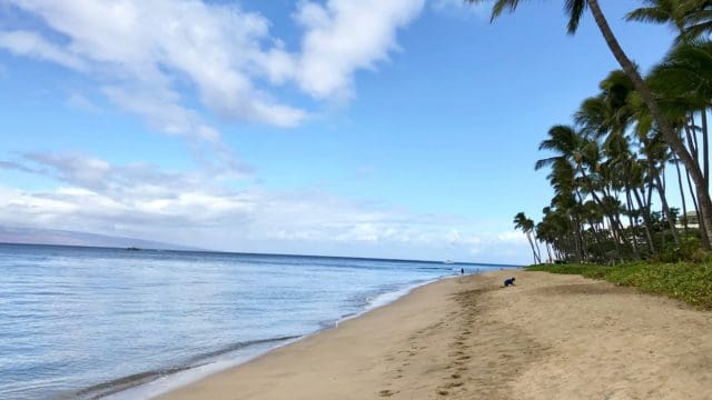 A closeu shot of the Kaanapali Beach in Maui, Hawaii