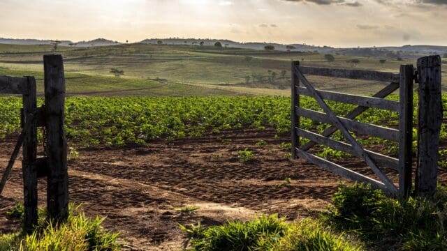 A beautiful shot of the wooden gate at the entrance to a cassava farm in the rural area in Brazil