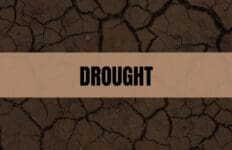 Text that says Drought on an amber rectangle with an image of dry cracked ground in the background