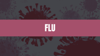 Text that says Flu on a pink rectangle with flu viruses in the background.