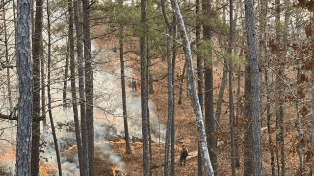(USFS file photo)