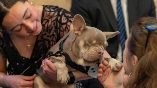 One of the fundraiser's benefactors who attended the event to the delight of some of the "human" attendees. (HSNEGA photo)