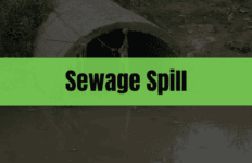 Graphic with the text "Sewage Spill" on a green rectangle and a sewage outlet in the background.