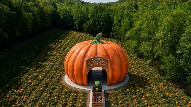 Rendering of what final product is expected to look like.
(Courtesy Burt's Pumpkin Farm)